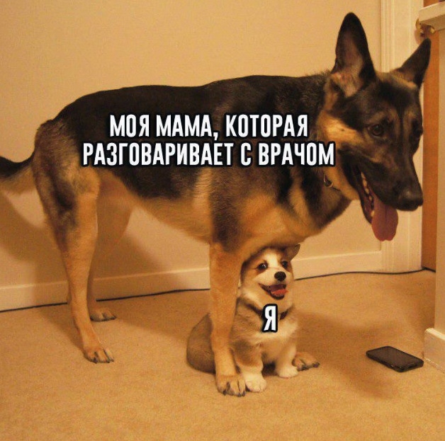 МПЯ МАМА КПТПРАЯ РАЗГПВАРИВАЕТ С ВРАЧПМ