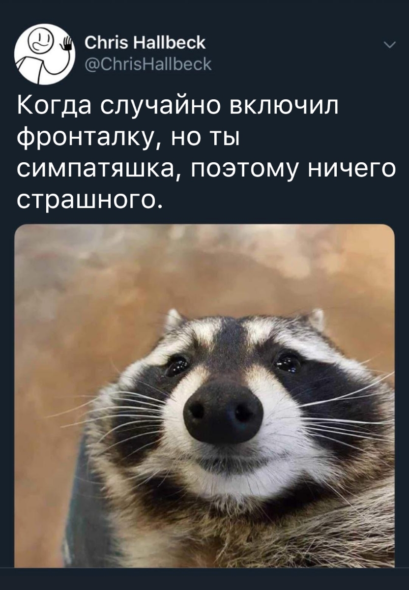 СЬгів НаЬес СПгіэНаНЬесК Когда случайно включил фронталку но ты симпатяшка поэтому ничего страшного