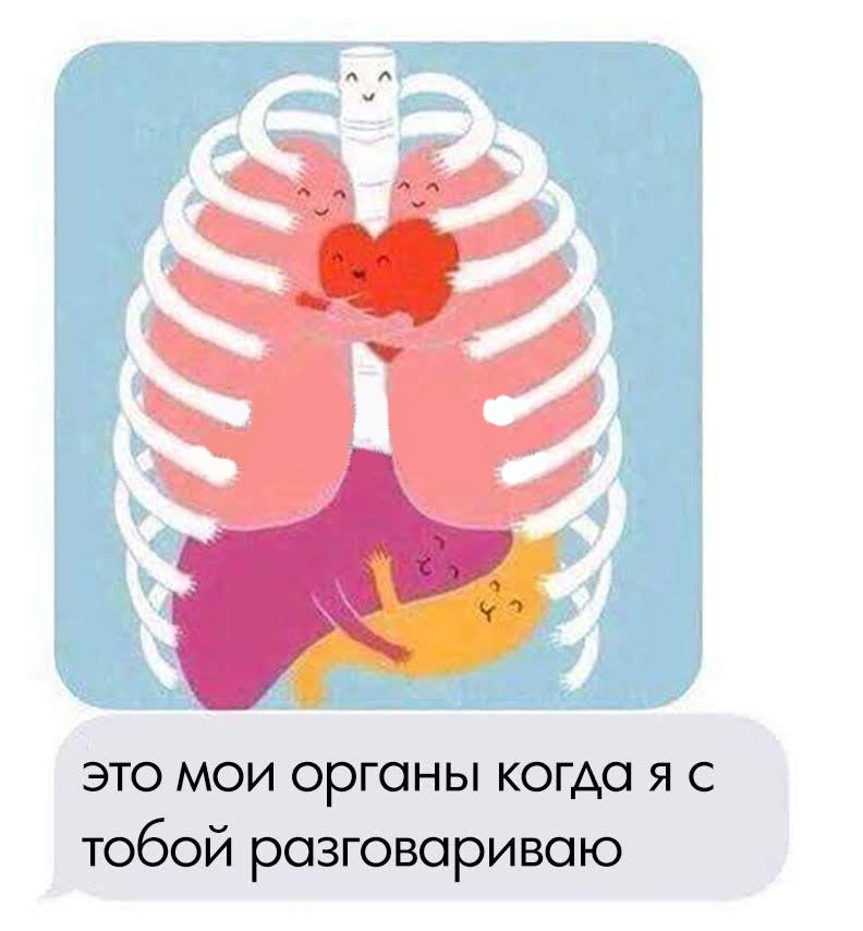 это мои органы когда я с тобой розговоривою