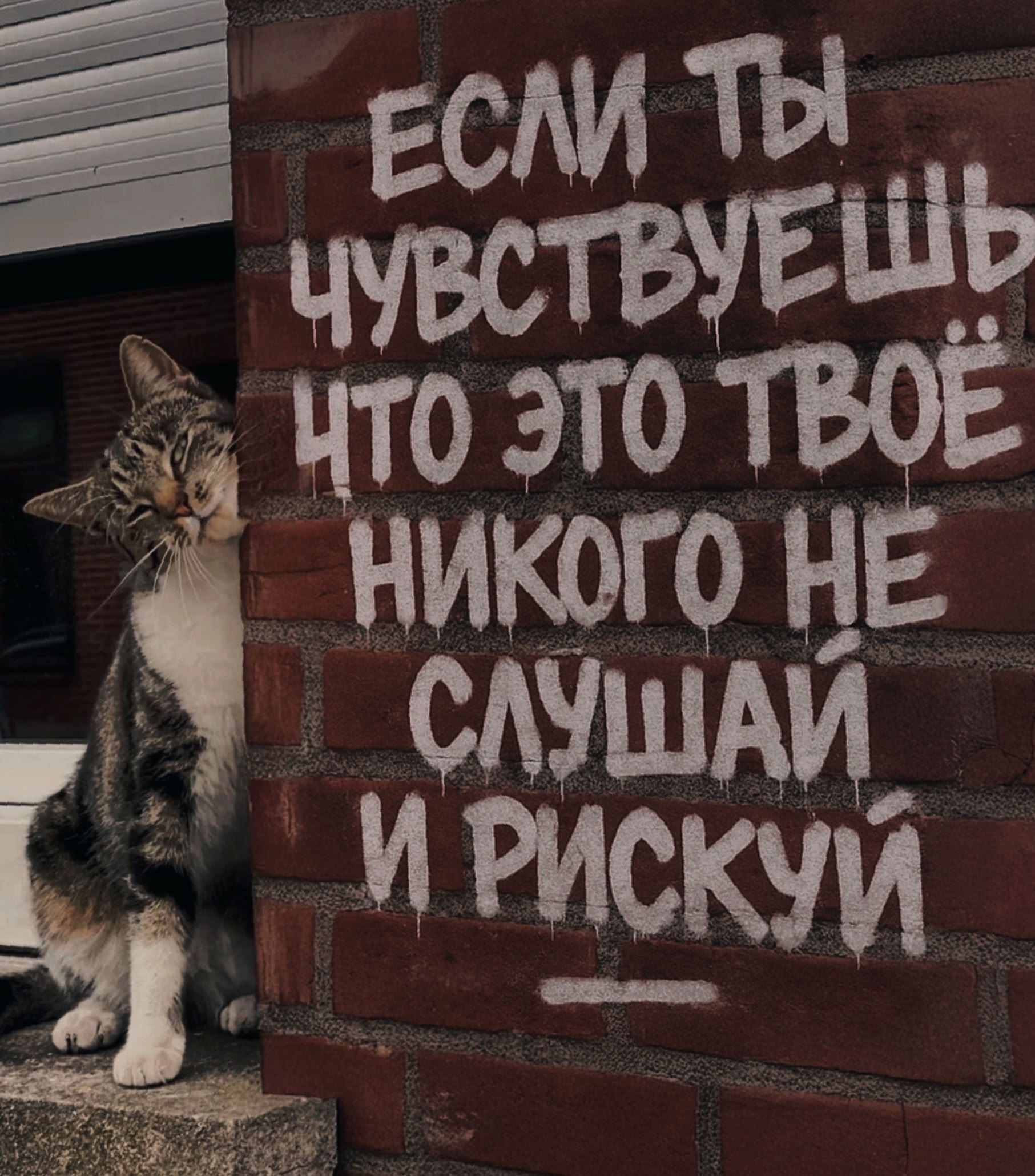 ЕСЛИ ТЫ ЧУВСТВУЕШЬ ЧТО ЭТО ТВОЁ НИКОГО НЕ СЛУШАЙ И РИСКУЙ