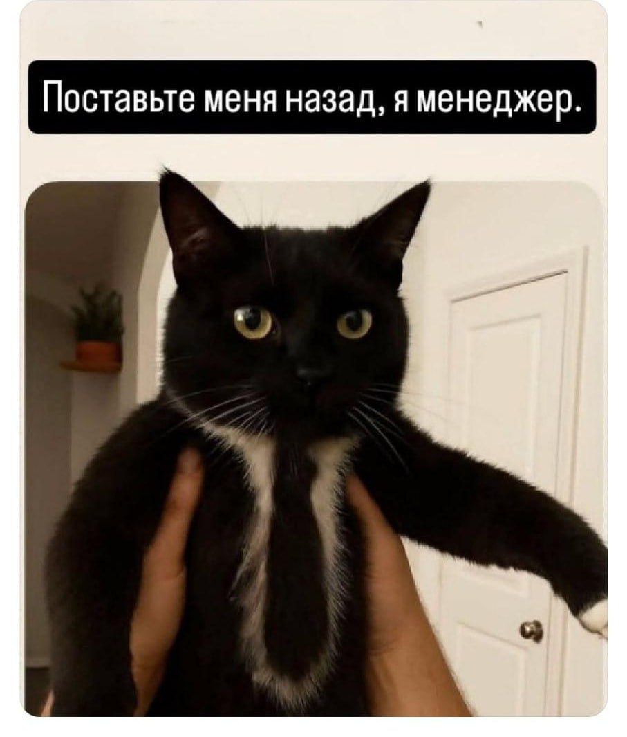 Поставьте меня назад, я менеджер.