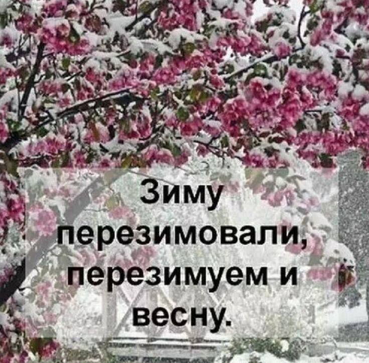Зиму перезимовали, перезимуем и весну.