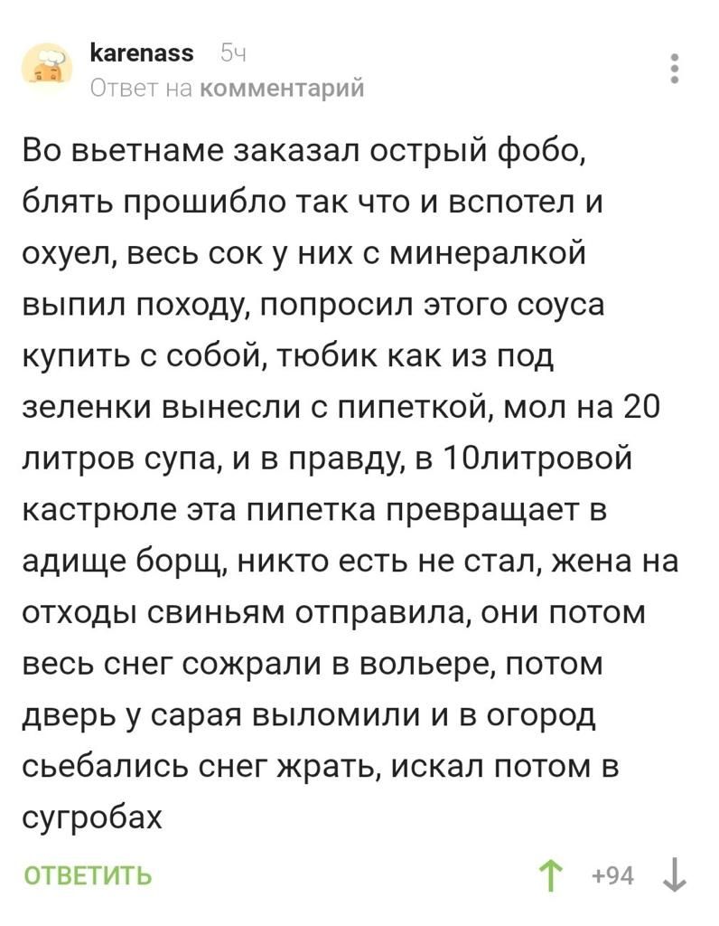 Кагепазз комментарий Во вьетнаме заказал острый фобо блять прошибло так что и вспотел и охуел весь сок у них с минералкой выпил походу попросил этого соуса купить с собой тюбик как из под зеленки вынесли с пипеткой мол на 20 литров супа и в правду в 10литровой кастрюле эта пипетка превращает в адище борщ никто есть не стал жена на отходы свиньям отправила они потом весь снег сожрали в вольере пото