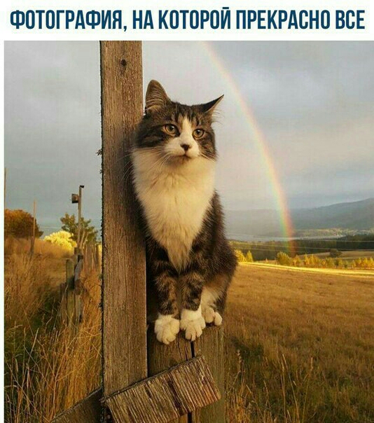 ФОТОГРАФИЯ НА КОТОРОЙ ПРЕКРАСНО ВСЕ