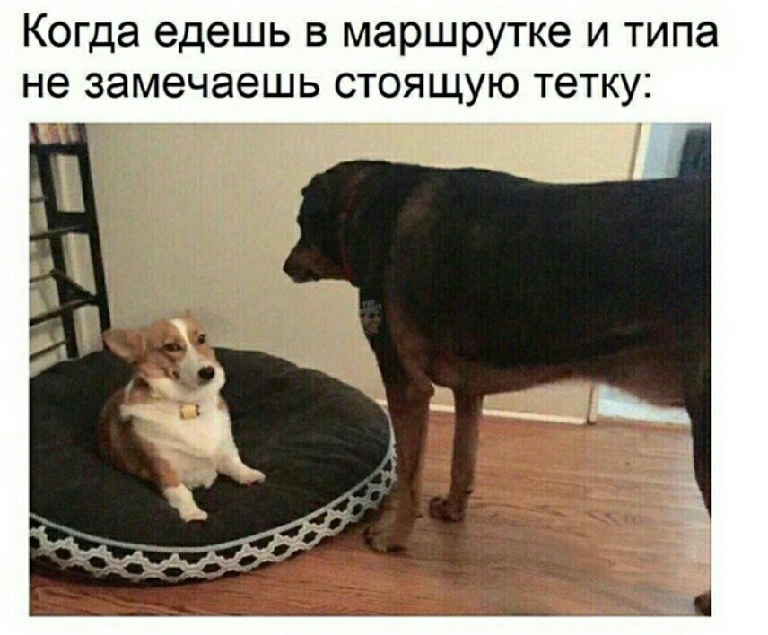 Когда едешь в маршрутке и типа не замечаешь стоящую тетку Чай