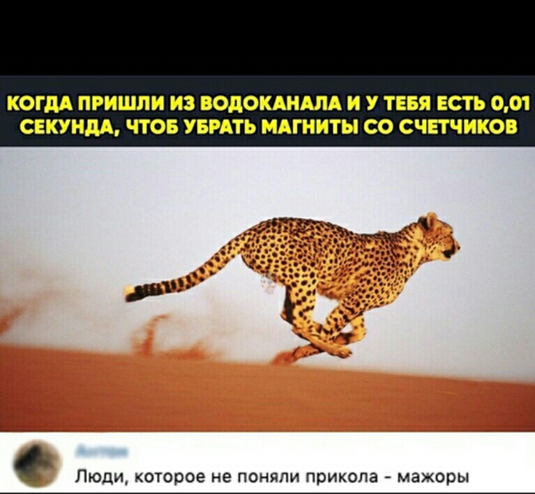 КОГДА ПРИШЛИ ИЗ ВОДОШЩ И У ТЕБЯ ЕСТЬ 001 СЕКУНДА ЧТОБ УБРАТЬ МАГИИТН СО СЧЕТЧИКОВ ЛЮДИ КОТОООЭ не поняли прикола мажоры