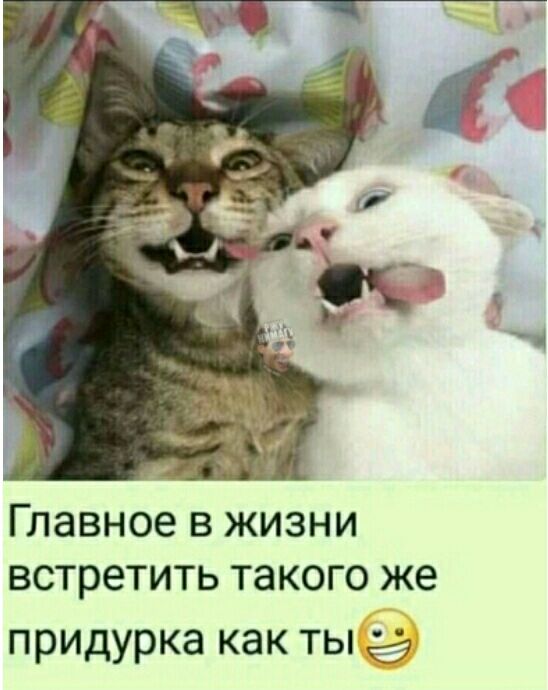Главное в жизни встретить такого же придурка КЭК ТЫ