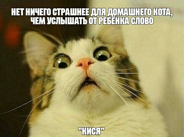 ПНИЧЕШИРАШНЕЕДЛП И Н ЗЮПЁЩ ЧЕМШЫШАТЪШ 1