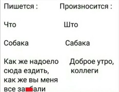 Пишется Произносится Что Што Собака Сабака Как же надоело доброе утро сюда ездить коллеги как же вы меня все заіали