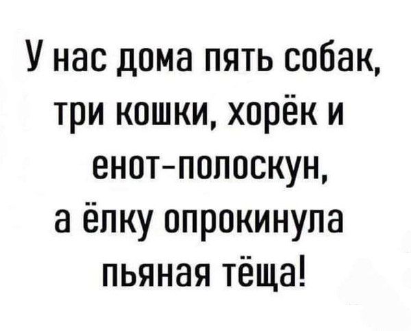У нас дома пять собак, три кошки, хорёк и енот-полоскун, а ёлку опрокинула пьяная тёща!