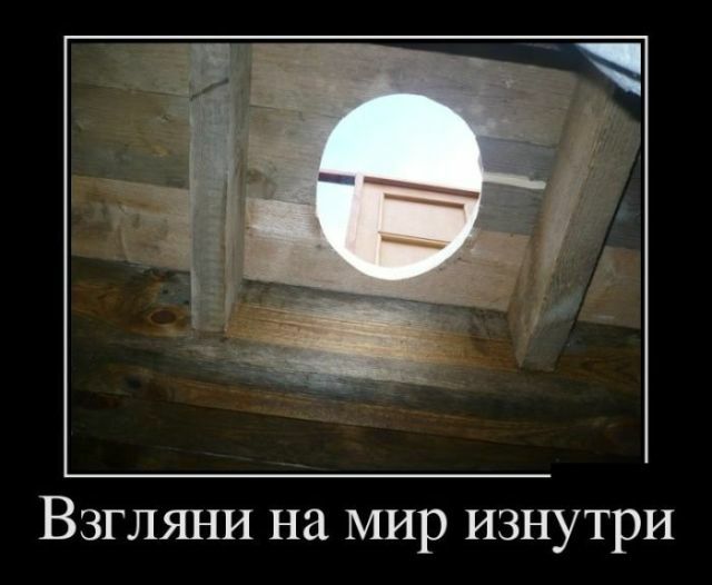 Взгляни на мир изнутри. Изображение деревянной конструкции с круглым отверстием, через которое виден фрагмент внешнего мира.