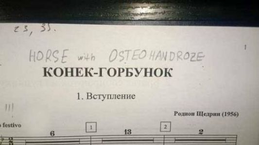25, 35. HORSE with OSTEO HANDROZE КОНЕК-ГОРБУНОК 1. Вступление Родион Щедрин (1956)