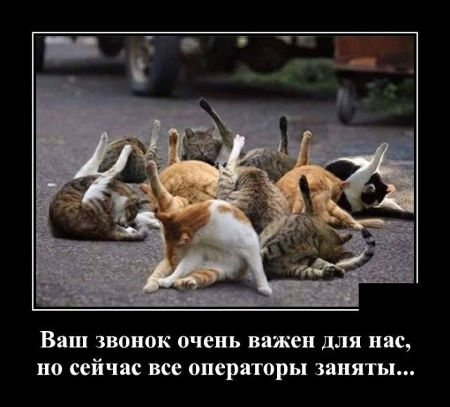 Ваш звонок очень важен для нас, но сейчас все операторы заняты...