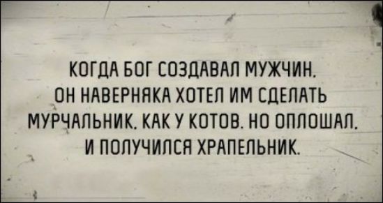КОГДА БОГ СОЗДАВАЛ МУЖЧИН, ОН НАВЕРНЯКА ХОТЕЛ ИМ СДЕЛАТЬ МУРЧАЛЬНИК, КАК У КОТОВ. НО ОПЛОШАЛ, И ПОЛУЧИЛСЯ ХРАПЕЛЬНИК.