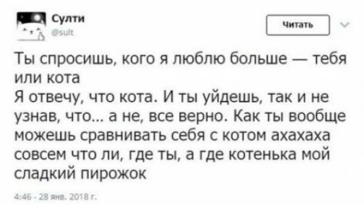Ты спросишь, кого я люблю больше — тебя или кота. Я отвечу, что кота. И ты уйдешь, так и не узнав, что... а не, все верно. Как ты вообще можешь сравнивать себя с котом ахахаха совсем что ли, где ты, а где котенька мой сладкий пирожок