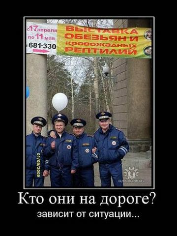 17 апреля по 11 мая 681-330 ВЫСТАВКА ОБЕЗЬЯН И КРОВОЖАДНЫХ РЕПТИЛИЙ Кто они на дороге? зависит от ситуации...