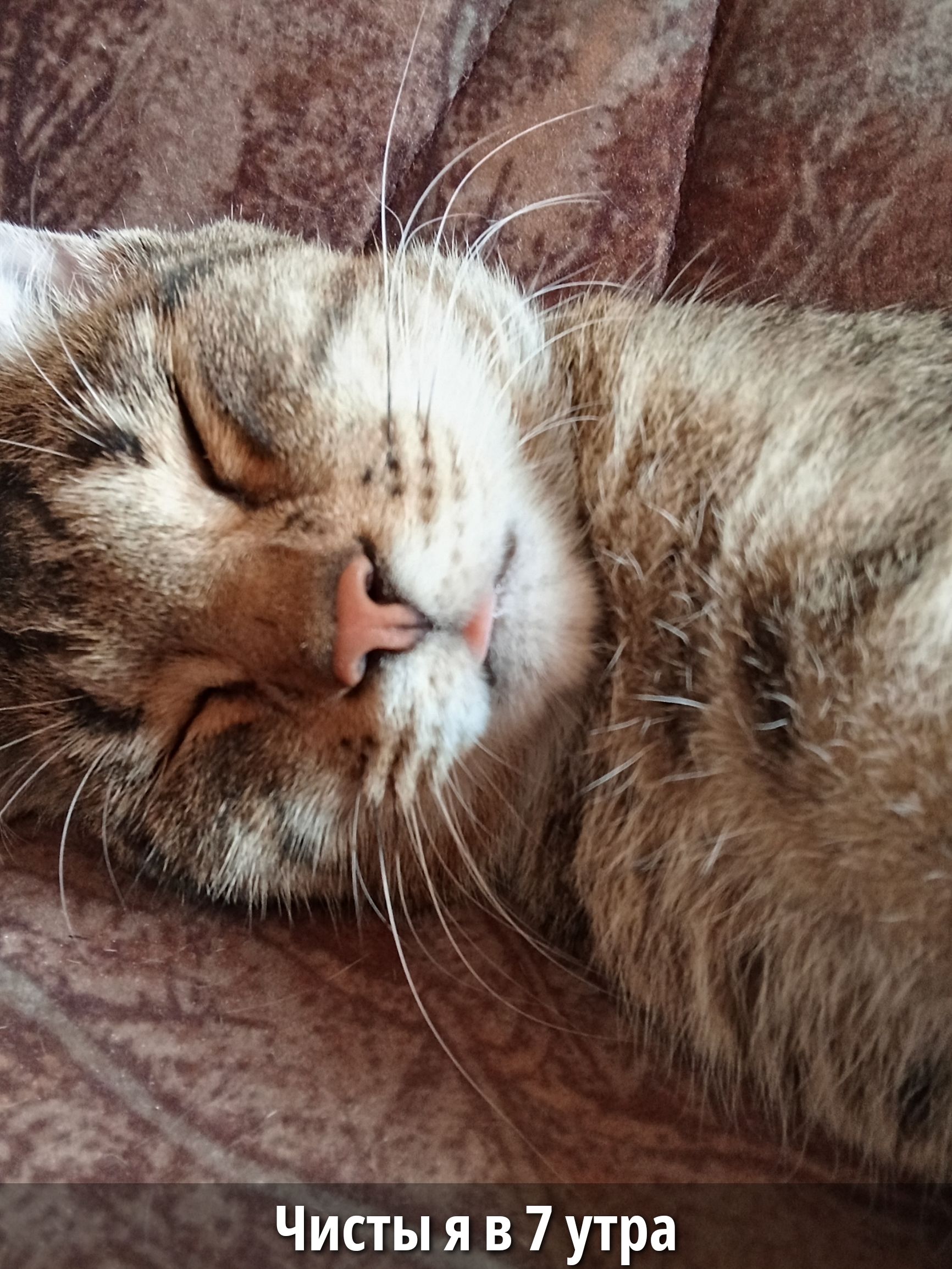 Чисты я в 7 утра