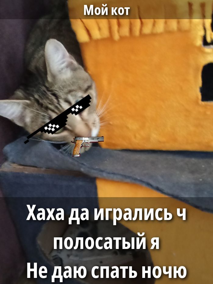 Мой кот
Хаха да игрались че полосатый я не даю спать ночью