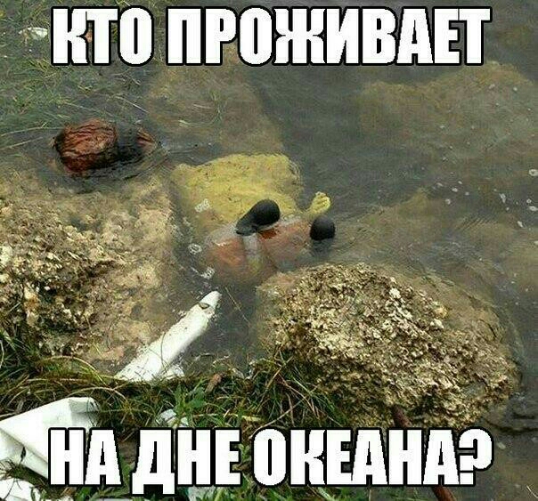дд дйвойшндэ В