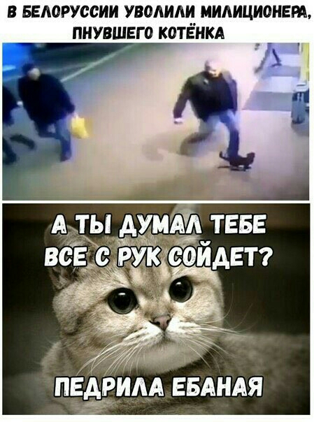 В БЕАОРУССИИ УВОАИАИ МИАИЦИ0НЕП ПНУВШЕГО К0ТЁНКА ЁЫЗМА ЕБАНАЯ