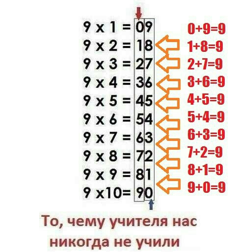 То чему учителя нас никогда не учили