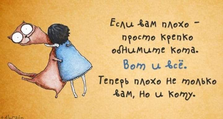 Если ам плохо просто КрёпКо ефНымыте Кота Во и сё Тепефь плохо Не только Хам Но 4 Коту