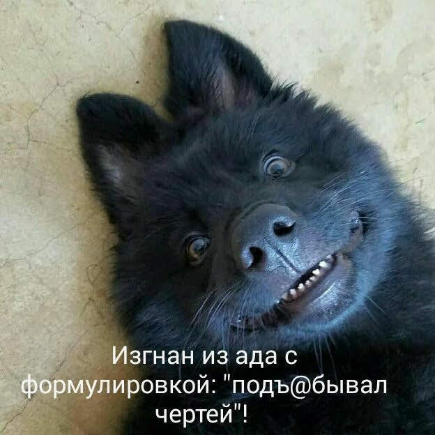 згнан из ада с _ ровкой подъбывал чертей