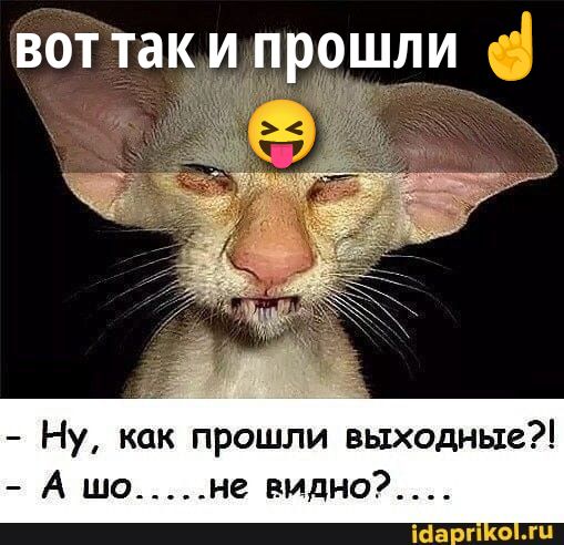 ВОТ ТАК И ПРОШЛИ
- Ну, как прошли выходные?!
- А шо......не видно?..