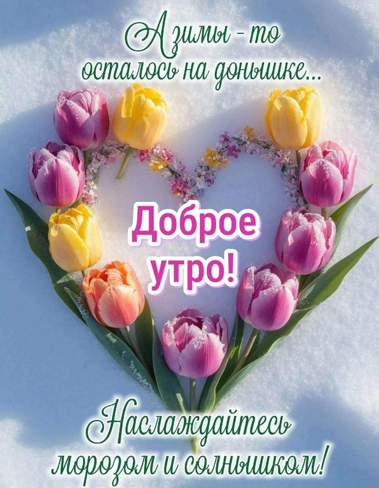 Доброе утро! Наслаждайтесь морозом и солнышком!