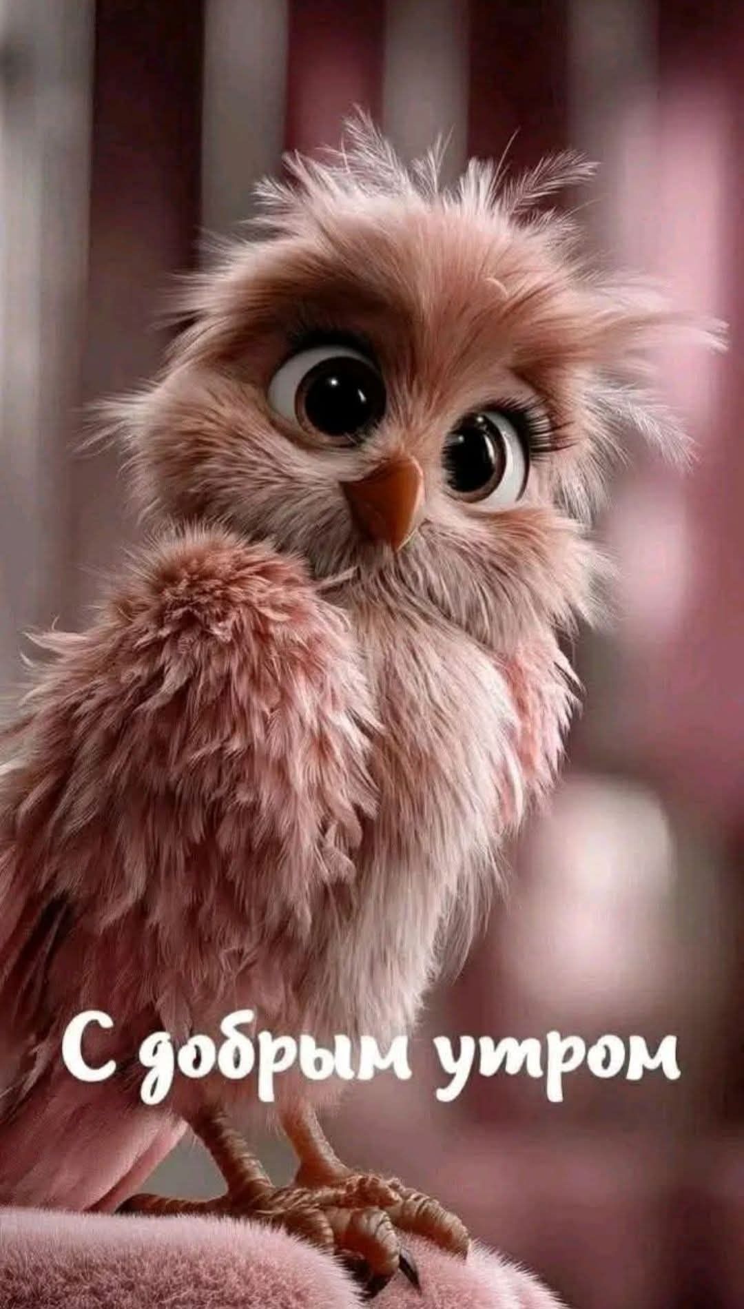 С добрым утром