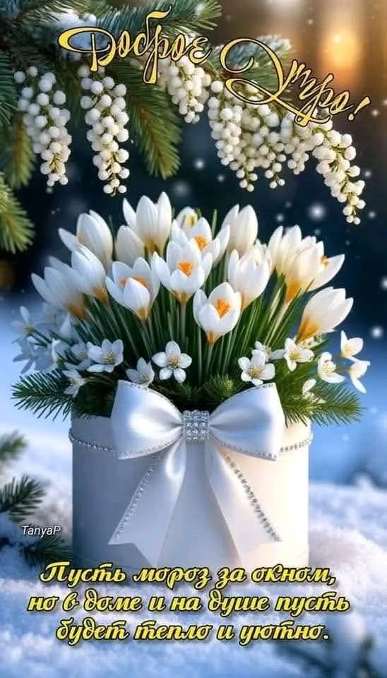 Доброе утро! Пусть мороз за окном, но в доме и на душе пусть будет тепло и уютно.