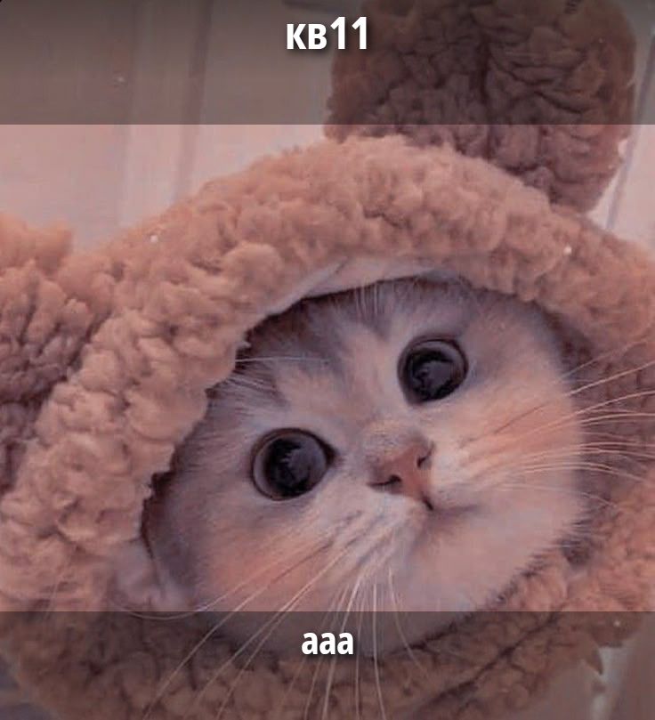 КВ11
aaa
