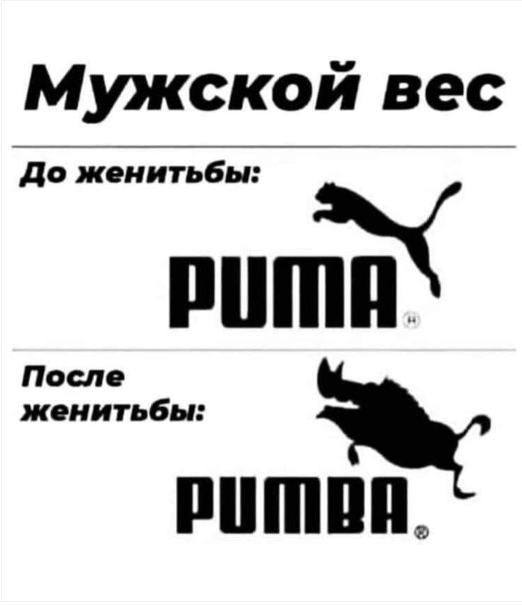Мужской вес\nДо женитьбы: PUMA\nПосле женитьбы: PUMBA