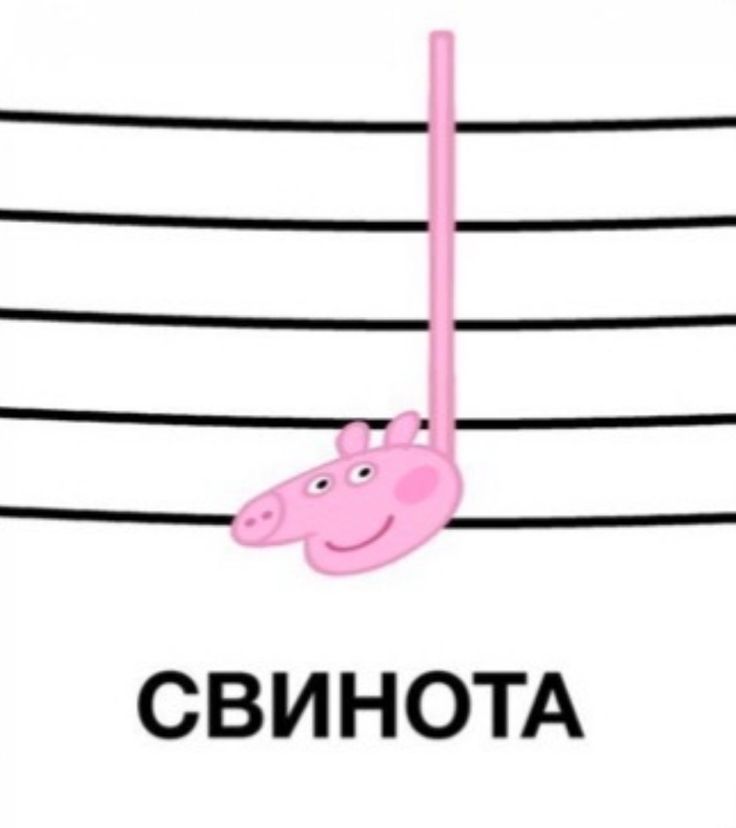 СВИНОТА