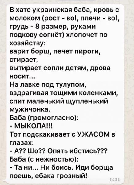 В хате украинская баба кровь с молоком рост во плечи во грудь 8 размер руками подкову согнёт хпопочет по хозяйству варит борщ печет пироги стирает вытирает сопли детям дрова носит На лавке под тулупом вздрагивая тощими коленками спит маленький щупленький мужичонка Баба громогласно МЫКОЛА Тот подскакивает УЖАСОМ в глазах А Шо Опять ибстись Баба с нежностью Та ни Ни боись Иди борща поешь ебака грозн