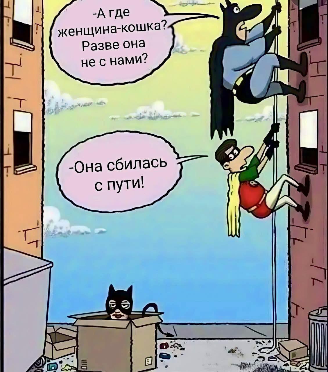 А где женщина-кошка? Разве она не с нами?
Она сбилась с пути!
