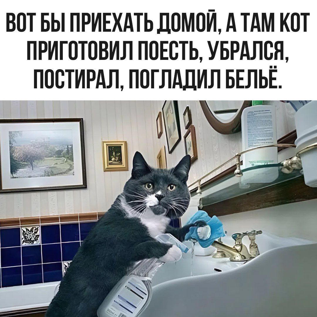 ВОТ БЫ ПРИЕХАТЬ ДОМОЙ, А ТАМ КОТ ПРИГОТОВИЛ ПОЕСТЬ, УБРАЛСЯ, ПОСТИРАЛ, ПОГЛАДИЛ БЕЛЬЁ.