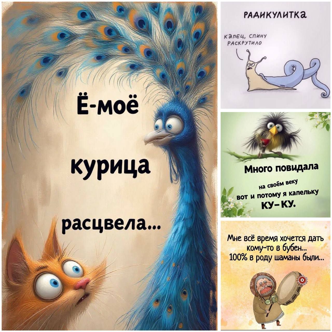 Ё-моё курица расцвела... РАДИКУЛИТКА. Много повидала на своих веках — вот и потому я капельку КУ-КУ.
