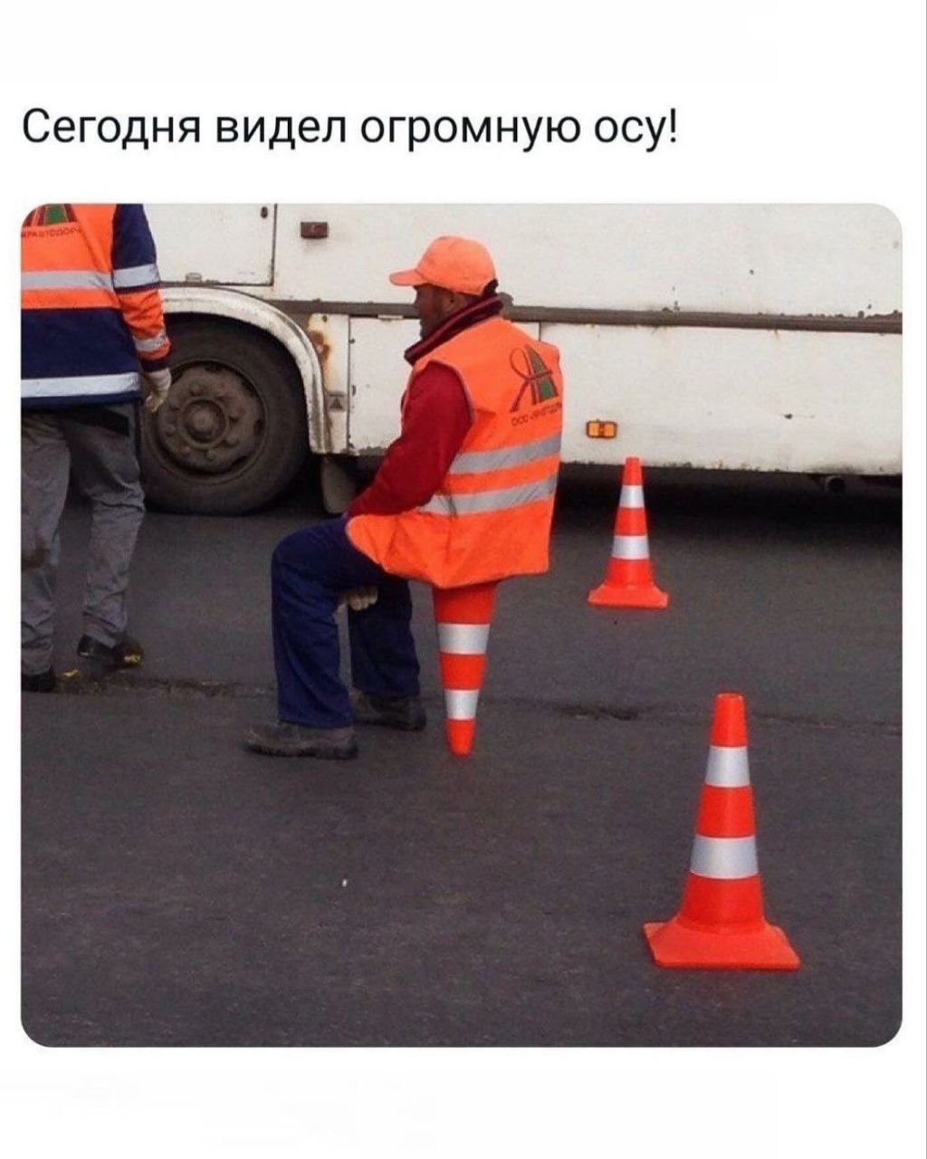 Сегодня видел огромную осу!
