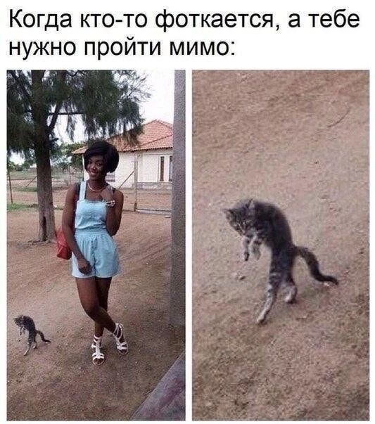 Когда кто-то фоткается, а тебе нужно пройти мимо: