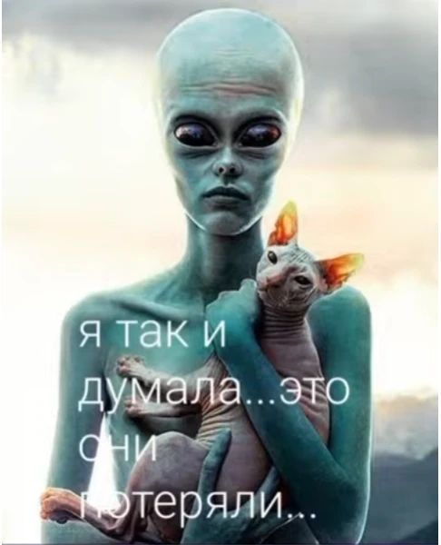 я так и думала... это они потеряли...