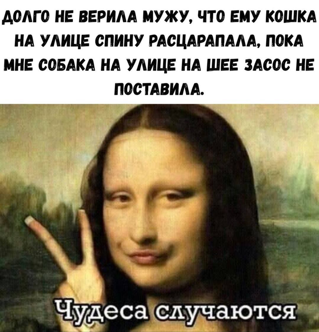 Долго не верила мужу, что ему кошка на улице спину расцарапала, пока мне собака на улице на шее засос не поставила.\nЧудеса случаются