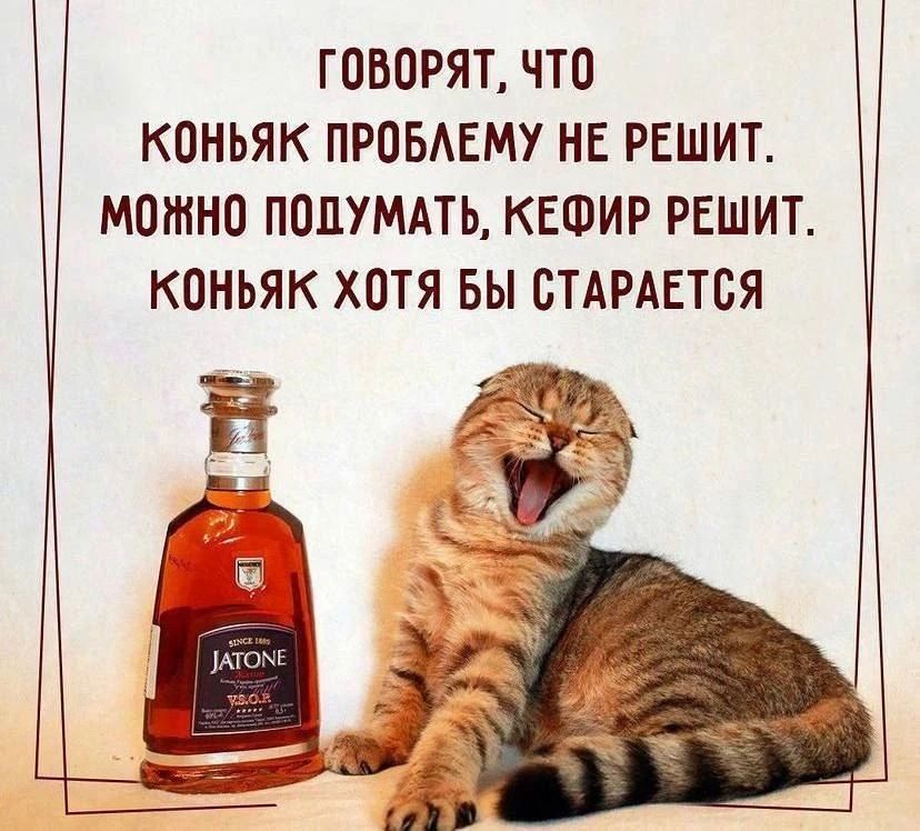ГОВОРЯТ, ЧТО КОНЬЯК ПРОБЛЕМУ НЕ РЕШИТ. МОЖНО ПОДУМАТЬ, КЕФИР РЕШИТ. КОНЬЯК ХОТЯ БЫ СТАРАЕТСЯ