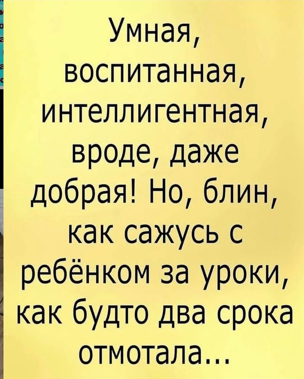 Умная, воспитанная, интеллектуальная, вроде, даже добрая! Но, блин, как сажусь с ребёнком за уроки, как будто два срока отмотала...