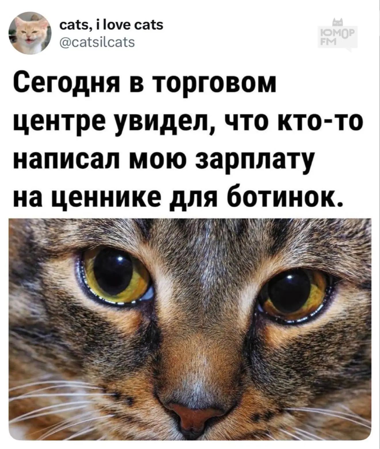Сегодня в торговом центре увидел, что кто-то написал мою зарплату на ценнике для ботинок.