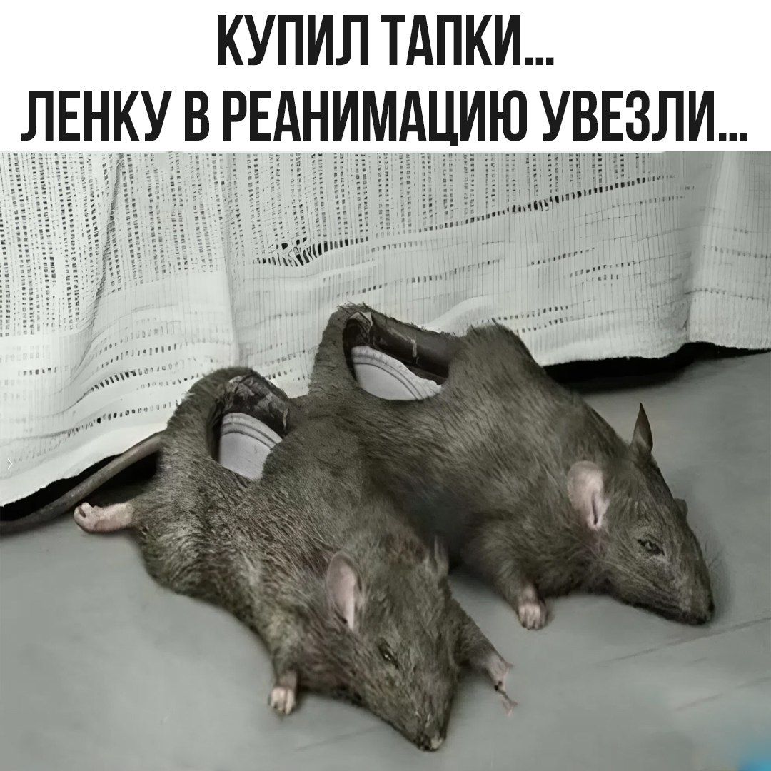 КУПИЛ ТАПКИ... ЛЕНКУ В РЕАНИМАЦИЮ УВЕЗЛИ...