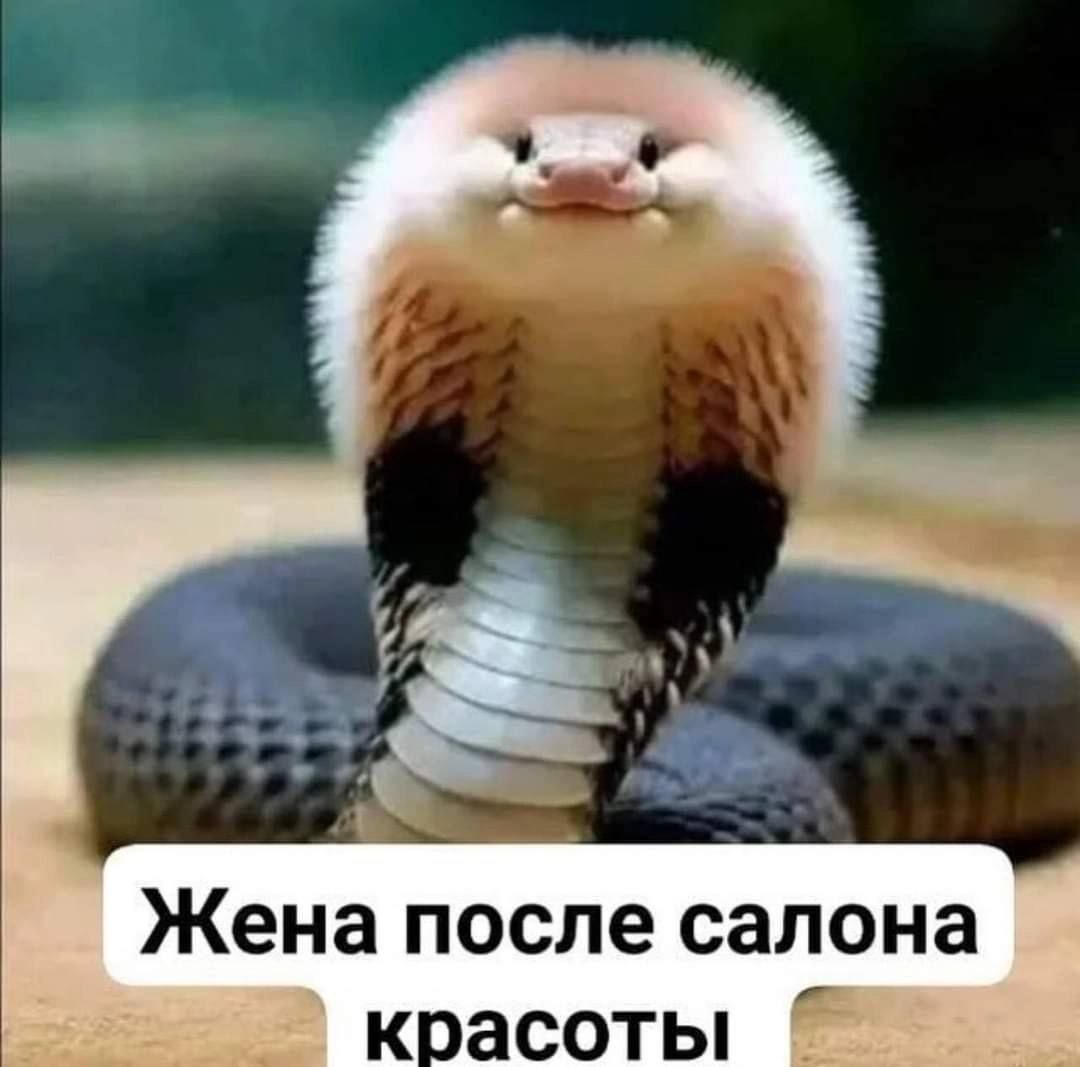 Жена после салона красоты