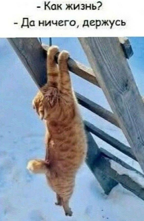 Как жизнь? - Да ничего, держусь