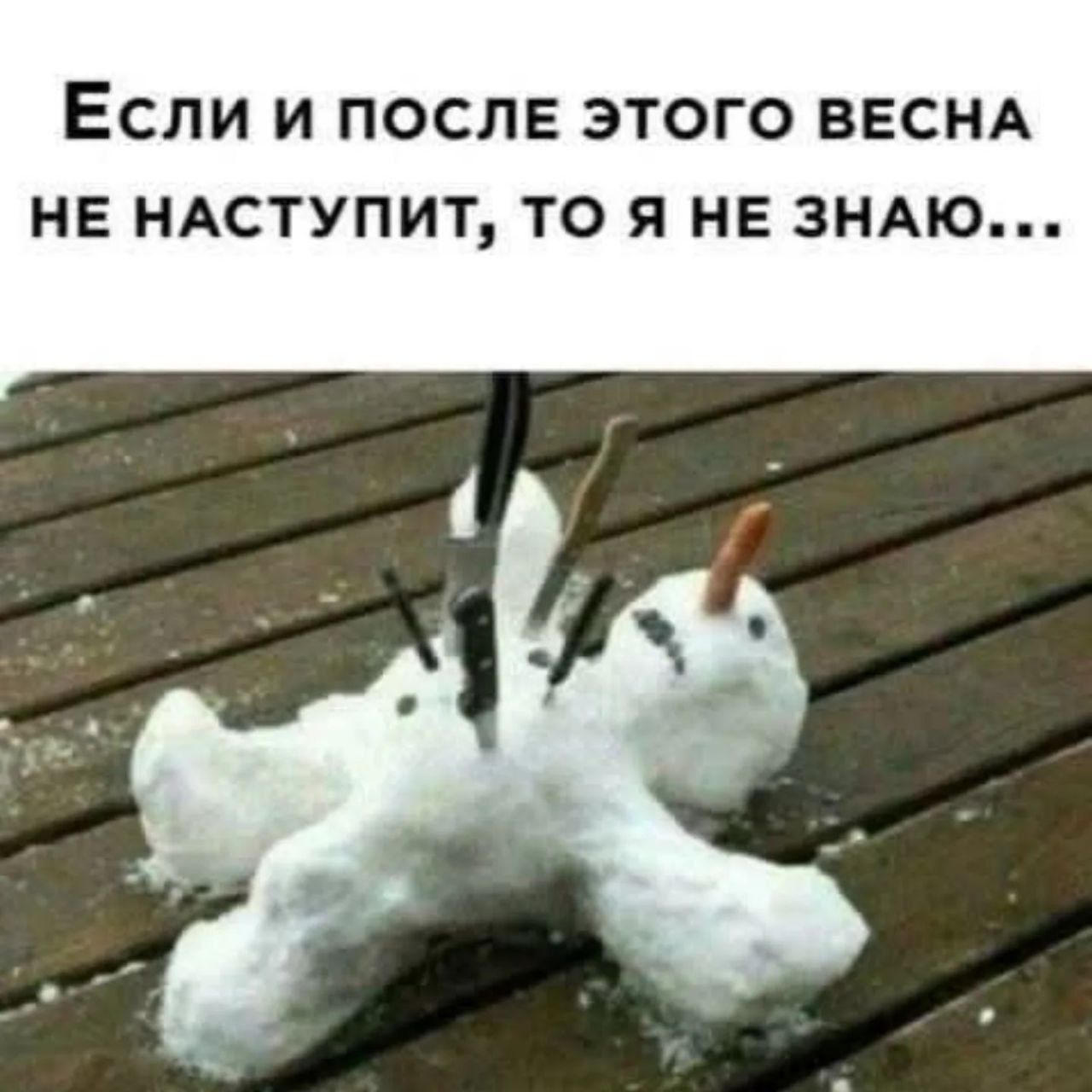 Если и после этого весна не наступит, то я не знаю...