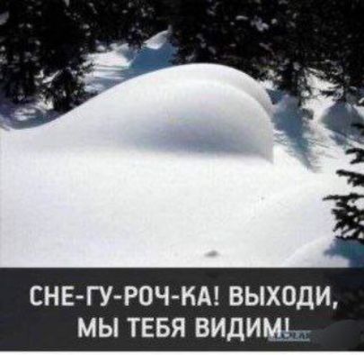 СНЕ-ГУ-РОЧ-КА! ВЫХОДИ, МЫ ТЕБЯ ВИДИМ!